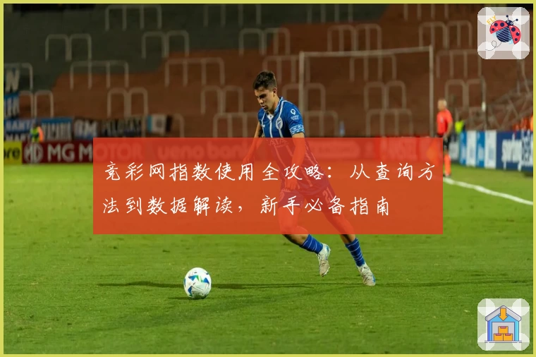 竞彩网指数使用全攻略：从查询方法到数据解读，新手必备指南