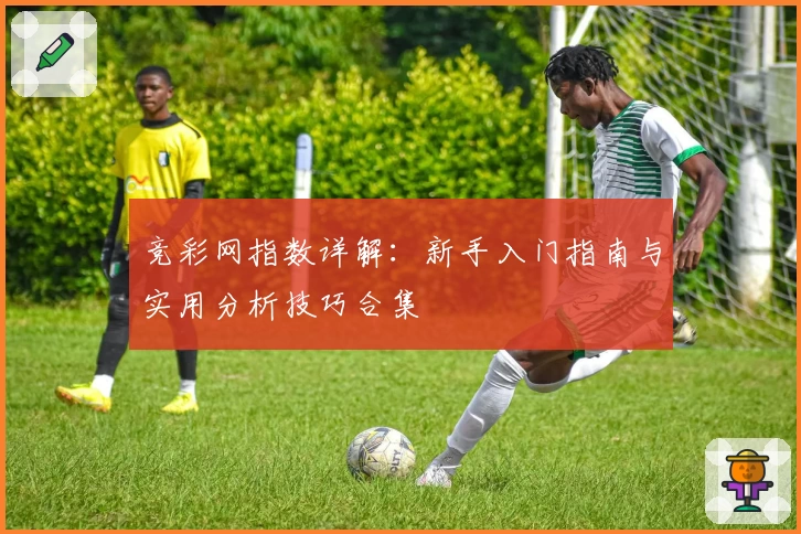 竞彩网指数详解：新手入门指南与实用分析技巧合集