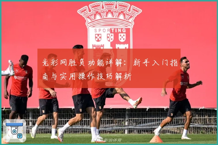 竞彩网胜负功能详解：新手入门指南与实用操作技巧解析