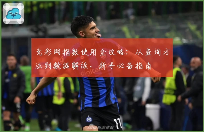 竞彩网指数使用全攻略：从查询方法到数据解读，新手必备指南