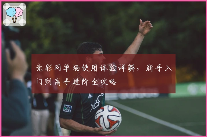 竞彩网单场使用体验详解,新手入门到高手进阶全攻略
