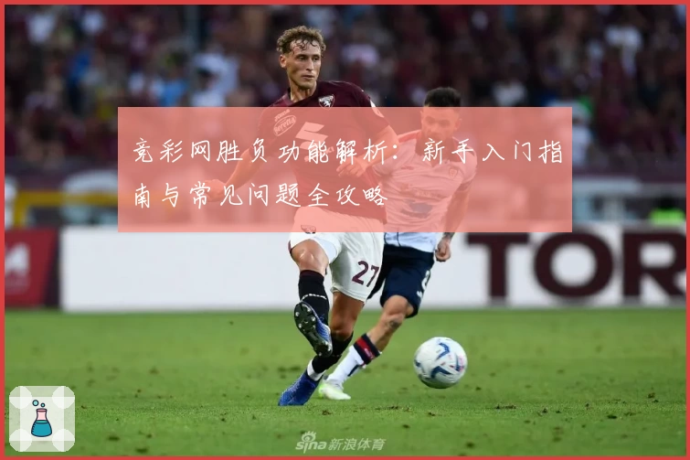 竞彩网胜负功能解析：新手入门指南与常见问题全攻略